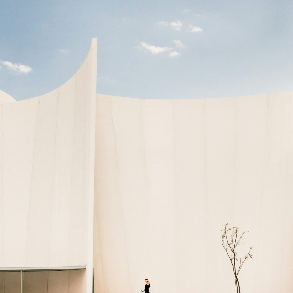 leo-manjarrez--vygi0Cvz_c-unsplash