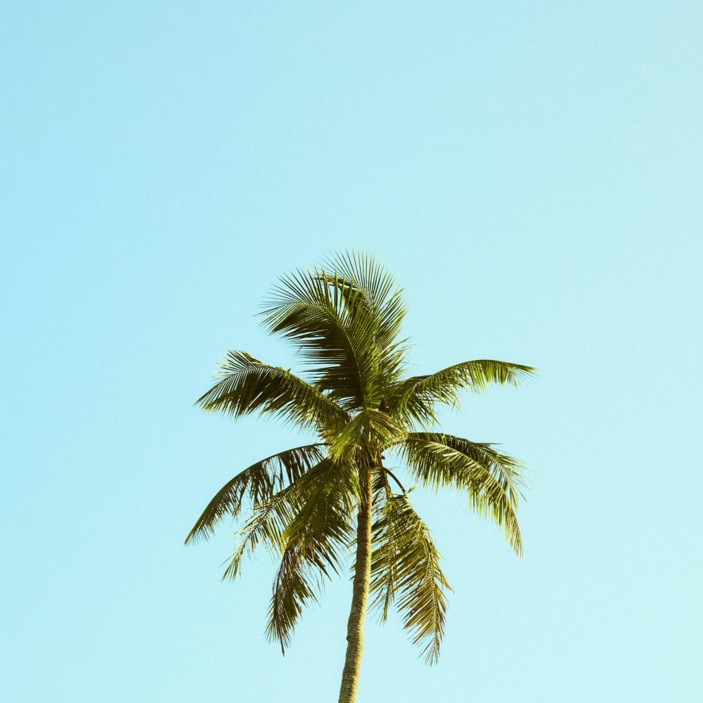 set-sj-DoSPxDAmD8g-unsplash